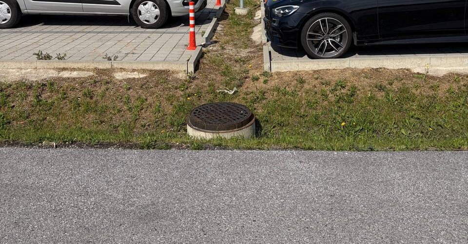 Vsakovací pás se zelení a dešťovou vpustí mezi řadami parkovacích stání